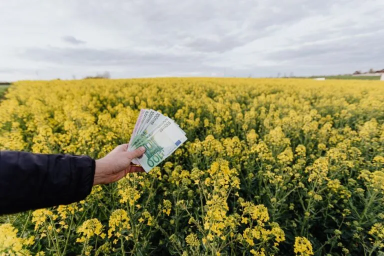 Big Farm ti drží v pasti právě jedním trikem